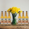 Mosaic Birra artigianale - Box da 6 bottiglie - Villa Chazil - Birra Chiara - Bottega del Friuli