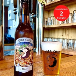 Mosaic Birra artigianale  - 2 Bottiglie - Villa Chazil
