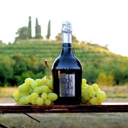 Prosecco - vini La Cortine 