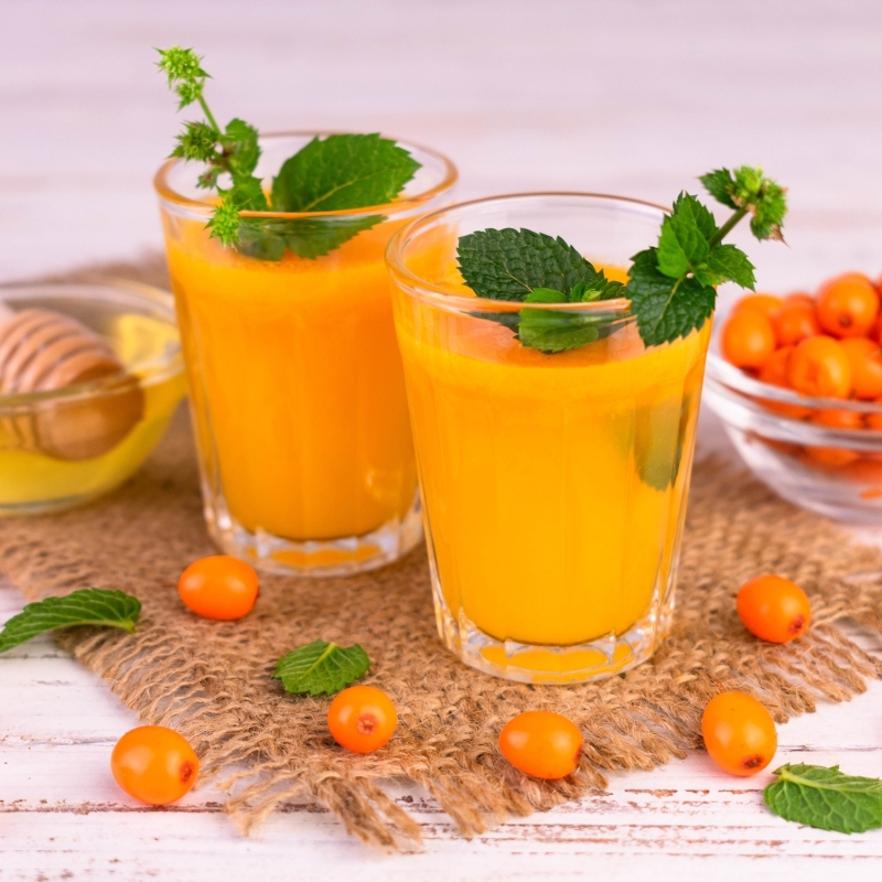 Succo di Olivello Spinoso e Mele - ZÂL - Tal Frigo - Succhi e Sciroppi - Bottega del Friuli
