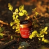 "Brusadina" alle Fragole e Rabarbaro - 2 vasetti - Invasi dal Gusto - Marmellate, Confetture e Chutney - Bottega del Friuli