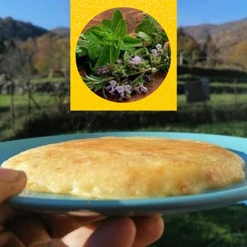 Frico - Bottega del Friuli