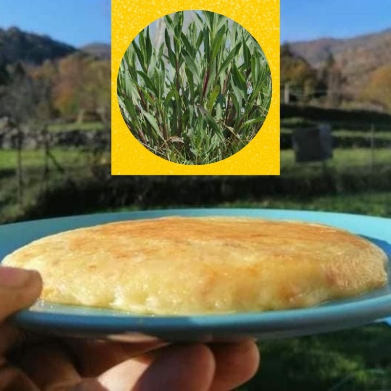 Frico - Bottega del Friuli