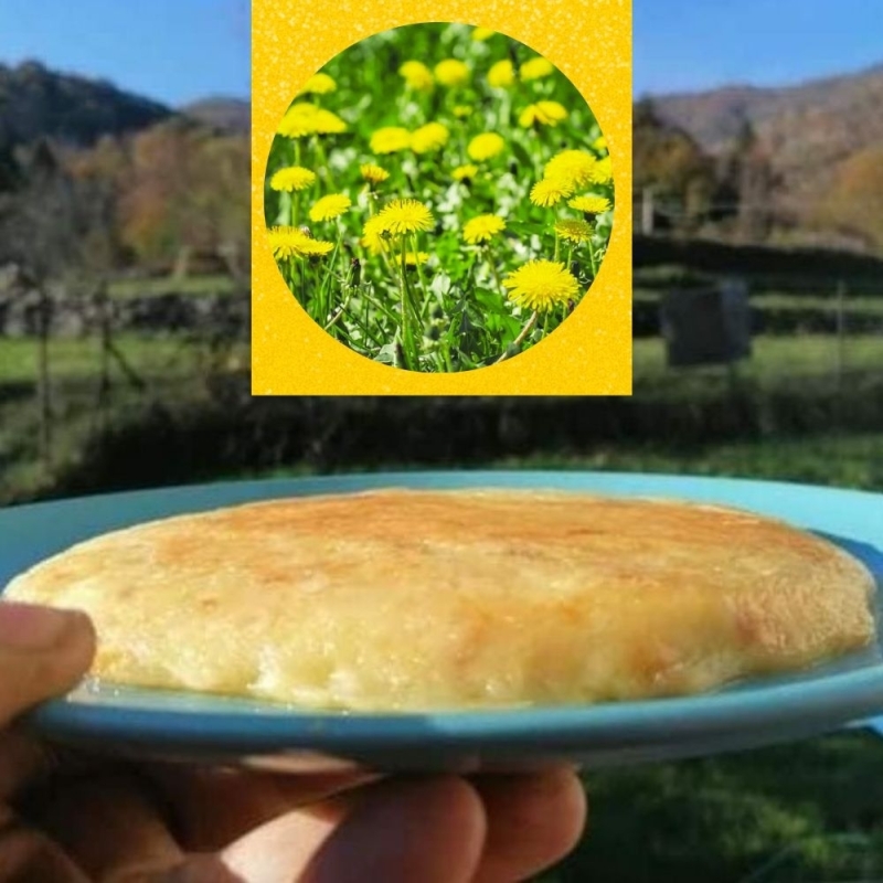 Frico - Bottega del Friuli