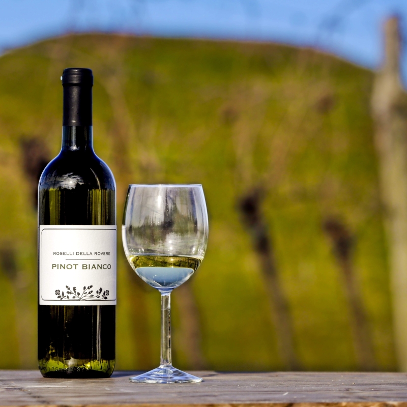 Vini - Bottega del Friuli