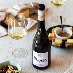 Vino bianco Marée - Sincero