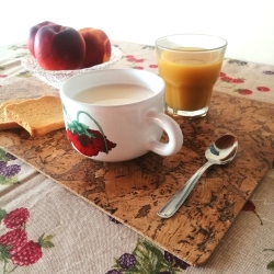 Tovaglietta colazione double face - Fabris Solutions