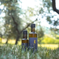 Olio extra vergine biologico - Grinovero  
