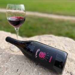 Refosco nostrano IGT - Cantina Vizzutti