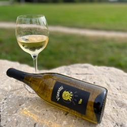 Vino Bianco "Vzz" - Cantina Vizzutti 