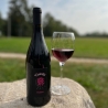 Refosco Nostrano IGT - 6 Bottiglie - Cantina Vizzutti - Vini Rossi - Bottega del Friuli