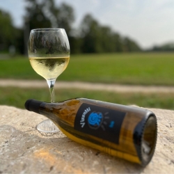 Vino Verduzzo IGT "Iris" - Cantina Vizzutti