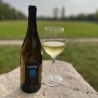 Verduzzo IGT "Iris" - 6 Bottiglie - Cantina Vizzutti - Vini Bianchi - Bottega del Friuli