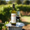 Aransat - Cantina Borgo Savaian - Vini Bianchi - Bottega del Friuli
