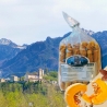 Treccine artigianali alla zucca e uvetta - Petris - Centro Dolce Friuli - Grissini e Sfiziosità - Bottega del Friuli