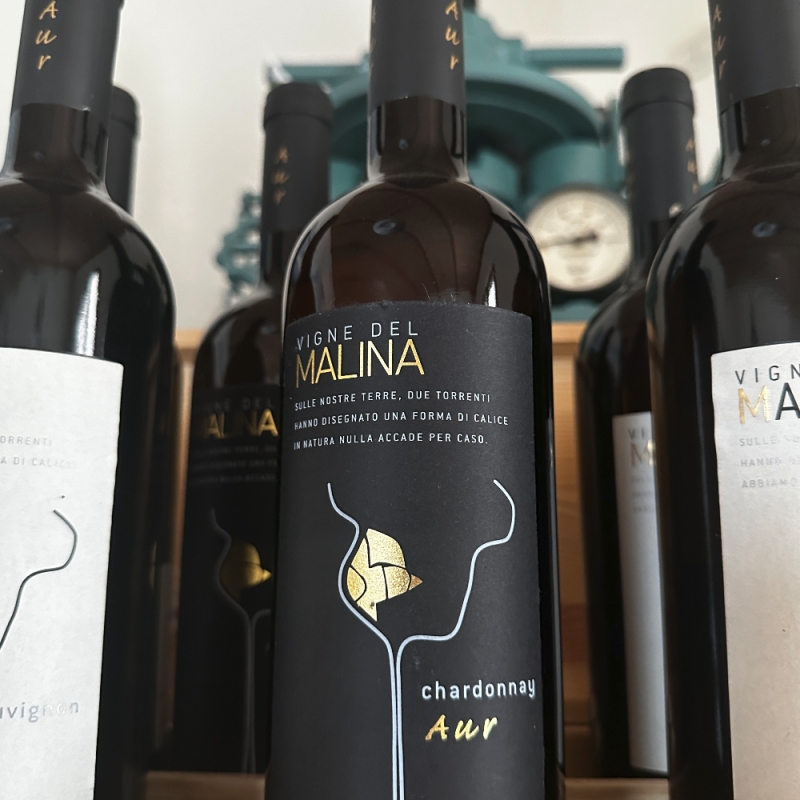 Vini Bianchi - Bottega del Friuli