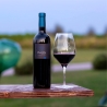 Refosco dal Peduncolo Rosso 2023 DOC Aquileia - Vini Puntin - Vini Rossi - Bottega del Friuli