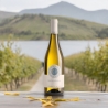 Ribolla Gialla Friuli Colli Orientali 2025  - Azienda Cantarutti - Formaggi - Bottega del Friuli