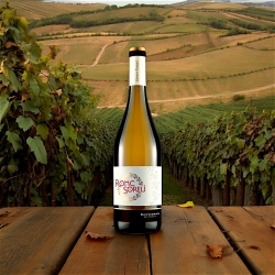 Sauvignon Bio - Ronc Soreli