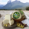 Caciotta caprina - Dolce Capra - Latteria Ovaro - Caprini - Bottega del Friuli