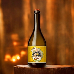 Birra Bionda SENZA GLUTINE - Fresca di Frigo - Tal Frigo