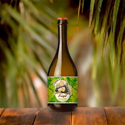 Birra APA - Tropicale Fresca di Frigo - Tal Frigo