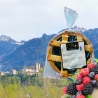 Crostata ai frutti di bosco - Petris - Centro Dolce Friuli - Biscotti e Dolci da Forno - Bottega del Friuli