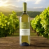 Chardonnay - Blason Wines - Vini Bianchi - Bottega del Friuli