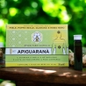 Integratore alimentare - Apiguaranà - Apicoltura Castello - Cura della persona - Bottega del Friuli