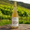 Ribolla gialla BIO 2021 - Ca Lovisotto - Vini Bianchi - Bottega del Friuli