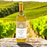 Ribolla gialla BIO 2023 - Ca Lovisotto - Vini Bianchi - Bottega del Friuli