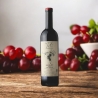 Merlot IGT Tre Venezie 2023 - Katia Toti - Vini Rossi - Bottega del Friuli