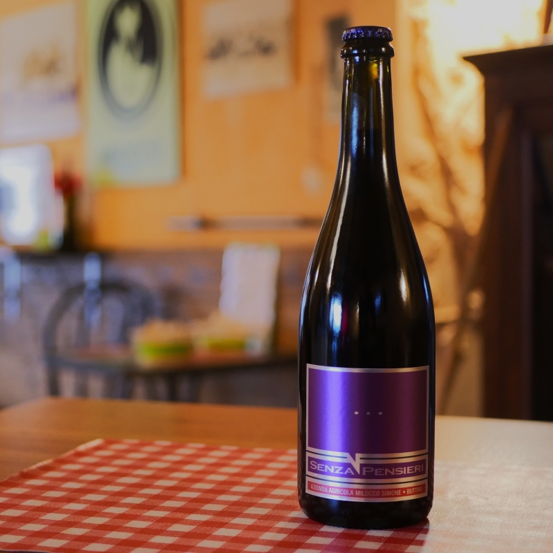 Vino Rosso Frizzante Igt 2024 "Senza Pensieri" - Az. Agr. Milocco Simone - Bollicine - Bottega del Friuli
