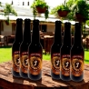 Smart  birra artigianale Pils - Box da 6 bottiglie - Villa Chazil - Birra Chiara - Bottega del Friuli