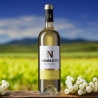 Ribolla Gialla di Rosazzo DOC 2022 - Nadalutti Franco - Vini Bianchi - Bottega del Friuli