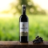 Friulano - La Mont 2023 - Nadalutti Franco - Vini Bianchi - Bottega del Friuli