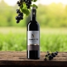 Pignolo di Rosazzo 2018 - Nadalutti Franco - Vini Rossi - Bottega del Friuli
