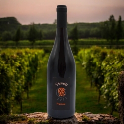 Franken - Weingut Vizzuti