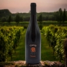 Franconia - Cantina Vizzuti - Vini Rossi - Bottega del Friuli