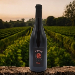 Merlot - Cantina Vizzuti