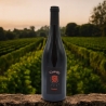 Merlot - Cantina Vizzuti - Vini Rossi - Bottega del Friuli