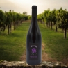 Cabernet Franc - Cantina Vizzuti - Vini Rossi - Bottega del Friuli