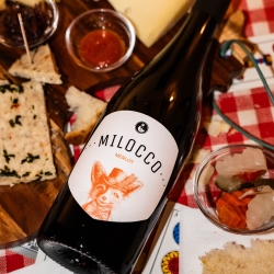Merlot Igt Venezia Giulia 2022 - Az. Agr. Milocco Simone