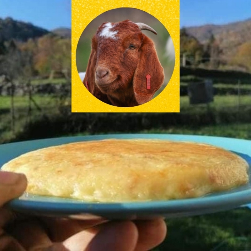 Frico - Bottega del Friuli