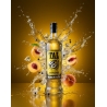 Liquore di ginepro e pesca - TAL -  Tal Frigo - Liquori - Bottega del Friuli
