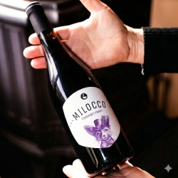 IGT Venezia Giulia Cabernet Franc 2024