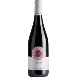 Merlot Friuli Colli Orientali 2023 - Azienda Cantarutti Alfieri 