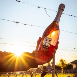 Laude Spumante Rosato - Elio Vini