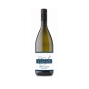 Malvasia - Cantina Borgo Savaian - Vini Bianchi - Bottega del Friuli