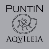Vini Puntin